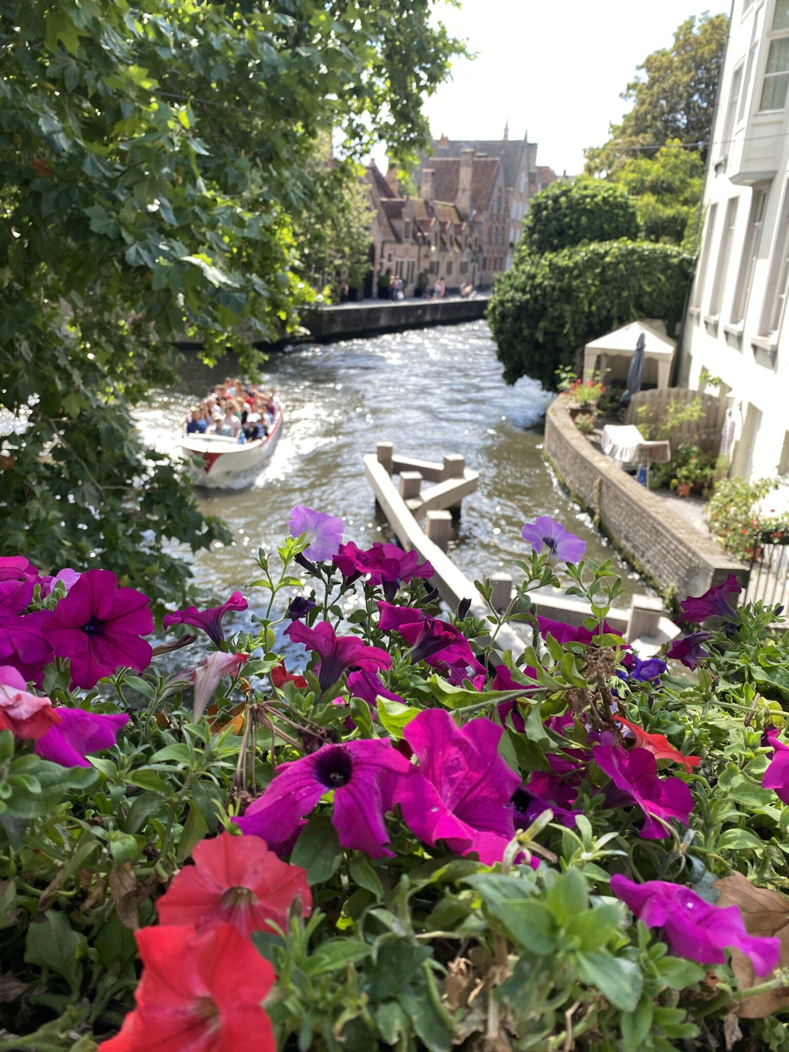 Blick auf eine Gracht mit kleinem Boot, in dem Personen sitzen, im Vordergrund bunte Blumen. Sonnenschein. 
